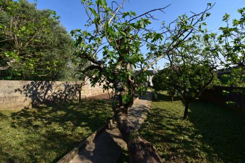 Moradia térrea com quintal e garagem com ótimos acessos à A23 na Atalaia