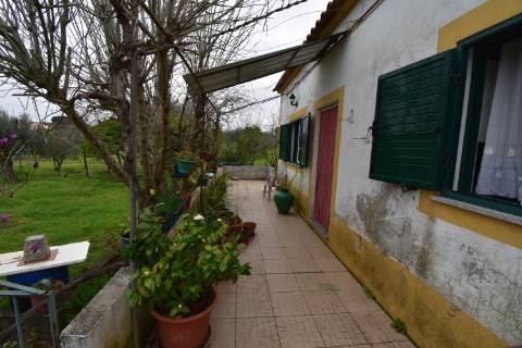 Conjunto de 2 terenos rústicos com moradia térrea T2 localizado nas Mouriscas