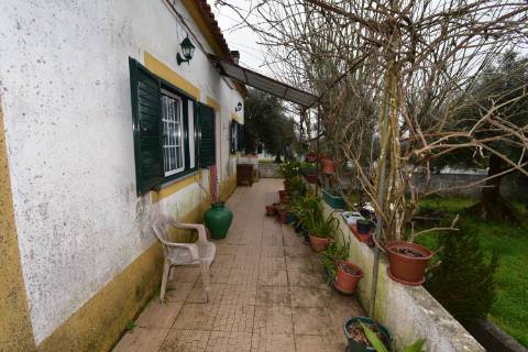 Conjunto de 2 terenos rústicos com moradia térrea T2 localizado nas Mouriscas