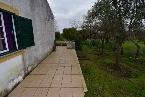 Conjunto de 2 terenos rústicos com moradia térrea T2 localizado nas Mouriscas