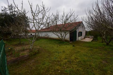 Conjunto de 2 terenos rústicos com moradia térrea T2 localizado nas Mouriscas