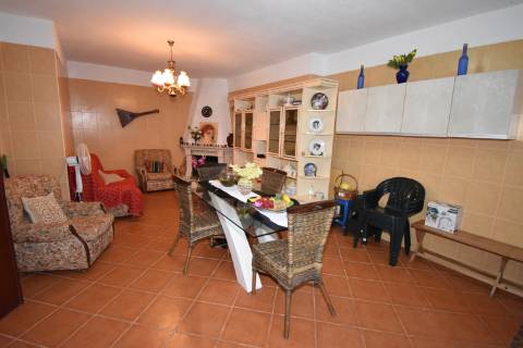 Conjunto de 2 terenos rústicos com moradia térrea T2 localizado nas Mouriscas