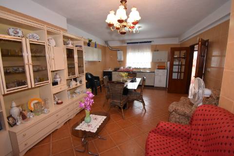 Conjunto de 2 terenos rústicos com moradia térrea T2 localizado nas Mouriscas