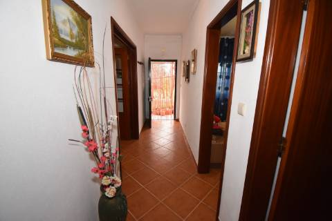 Conjunto de 2 terenos rústicos com moradia térrea T2 localizado nas Mouriscas