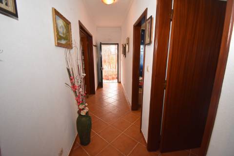 Conjunto de 2 terenos rústicos com moradia térrea T2 localizado nas Mouriscas