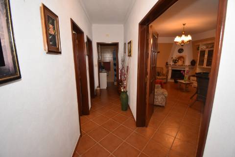 Conjunto de 2 terenos rústicos com moradia térrea T2 localizado nas Mouriscas