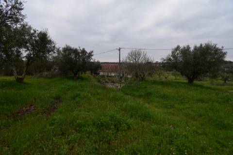 Conjunto de 2 terenos rústicos com moradia térrea T2 localizado nas Mouriscas