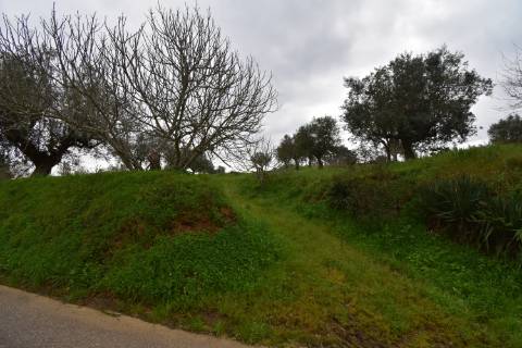 Conjunto de 2 terenos rústicos com moradia térrea T2 localizado nas Mouriscas