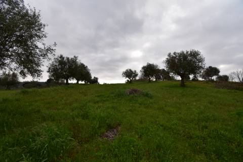 Conjunto de 2 terenos rústicos com moradia térrea T2 localizado nas Mouriscas