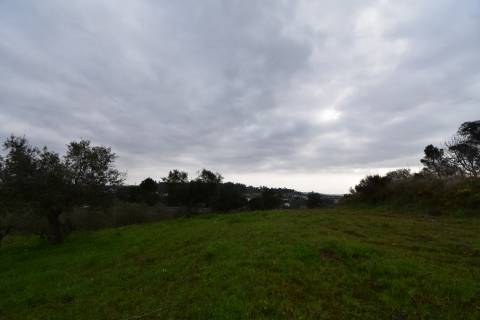 Conjunto de 2 terenos rústicos com moradia térrea T2 localizado nas Mouriscas