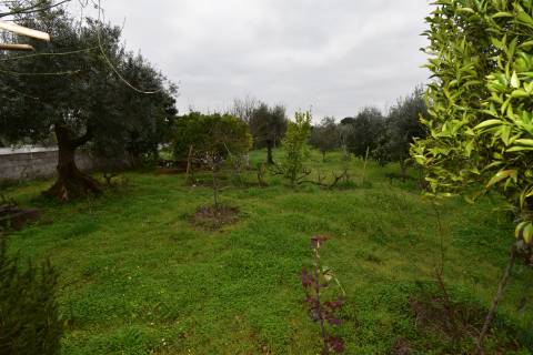 Conjunto de 2 terenos rústicos com moradia térrea T2 localizado nas Mouriscas