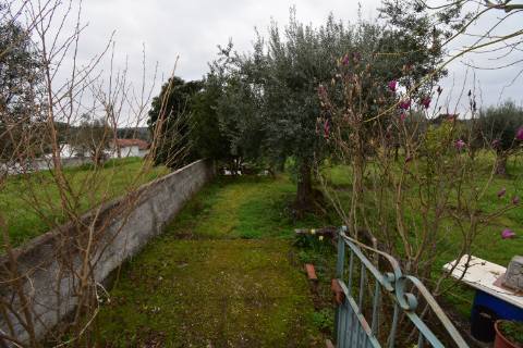 Conjunto de 2 terenos rústicos com moradia térrea T2 localizado nas Mouriscas