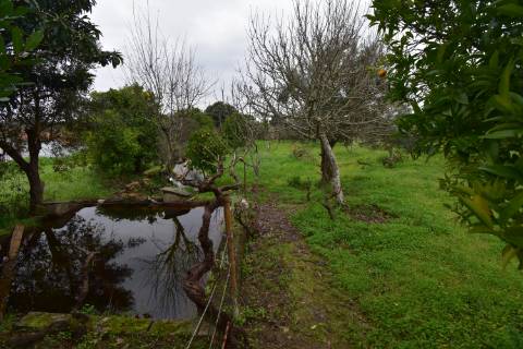 Conjunto de 2 terenos rústicos com moradia térrea T2 localizado nas Mouriscas