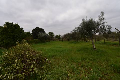 Conjunto de 2 terenos rústicos com moradia térrea T2 localizado nas Mouriscas