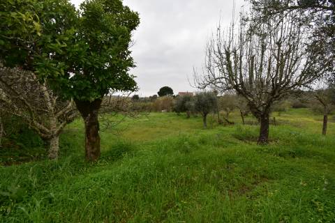 Conjunto de 2 terenos rústicos com moradia térrea T2 localizado nas Mouriscas