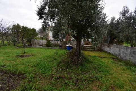 Conjunto de 2 terenos rústicos com moradia térrea T2 localizado nas Mouriscas