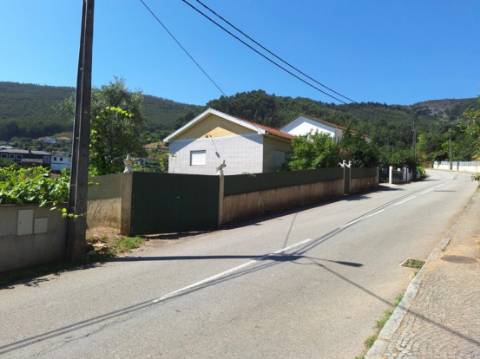 Moradia com terreno de vinha e Olival a 5 km dos Passadiços do Paiva