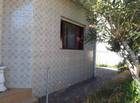 Moradia com terreno de vinha e Olival a 5 km dos Passadiços do Paiva