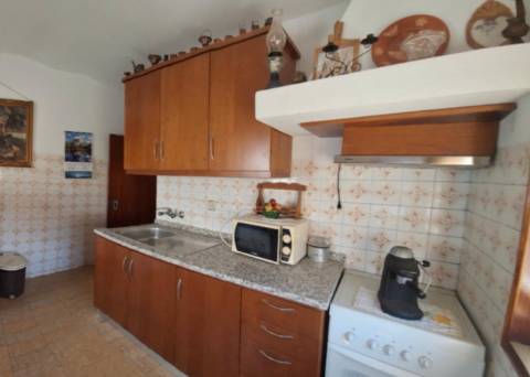 Moradia com terreno de vinha e Olival a 5 km dos Passadiços do Paiva