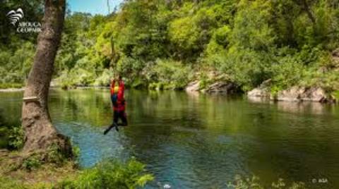 Moradia com terreno de vinha e Olival a 5 km dos Passadiços do Paiva