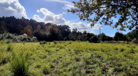 Lote com 2 terrenos em Grijó com projeto aprovado para 2 moradias térreas