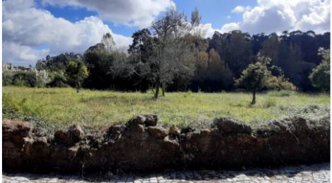 Lote com 2 terrenos em Grijó com projeto aprovado para 2 moradias térreas