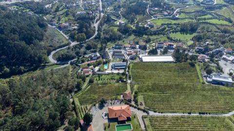 Quinta em Constance , Marco de Canaveses