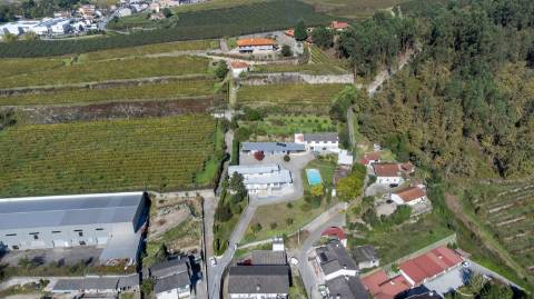 Quinta em Constance , Marco de Canaveses