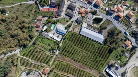 Quinta em Constance , Marco de Canaveses