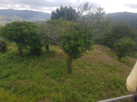 Pequena Aldeia em Penha Longa