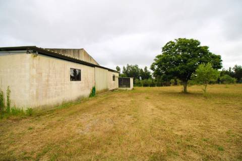 Quinta a 15 m da Figueira da Foz