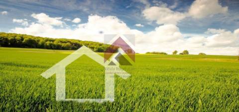 Lote de Terreno com 194m2 - Quintãs - Vende-se