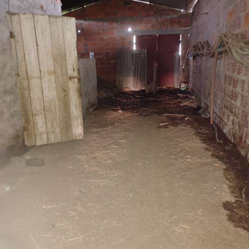 Moradia T2 para Remodelar em Bustos/Oliveira do Bairro