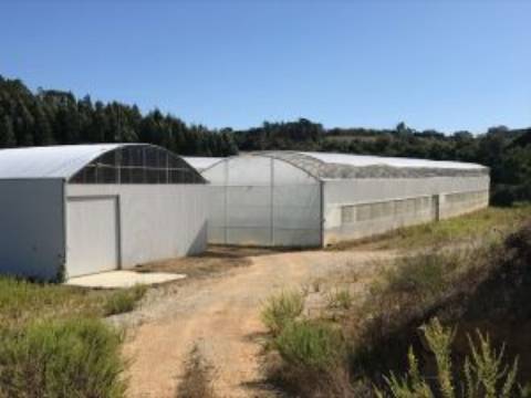 Quinta com unidade de produção em Estufa