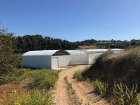 Quinta com unidade de produção em Estufa