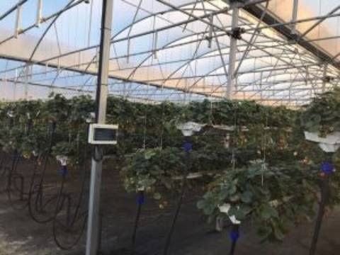 Quinta com unidade de produção em Estufa