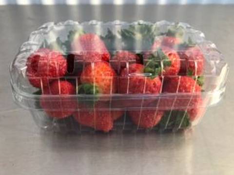 Quinta com unidade de produção em Estufa