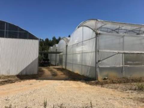 Quinta com unidade de produção em Estufa