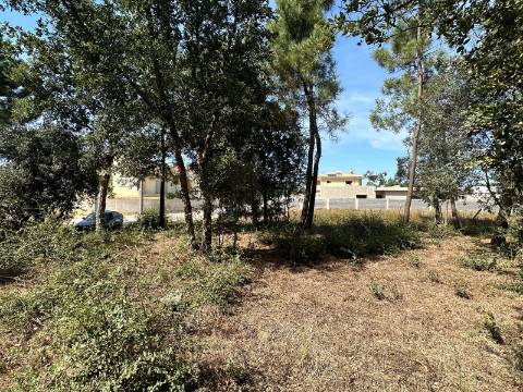 Terreno Plano, Oiã - Oliveira do Bairro