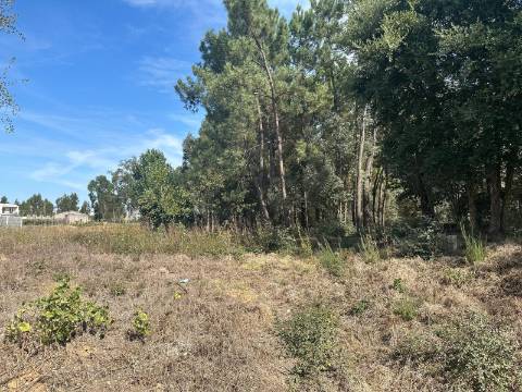 Terreno Plano, Oiã - Oliveira do Bairro