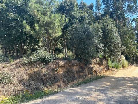 Terreno Plano, Oiã - Oliveira do Bairro