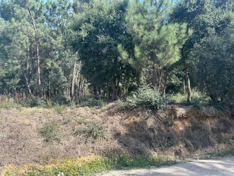 Terreno Plano, Oiã - Oliveira do Bairro