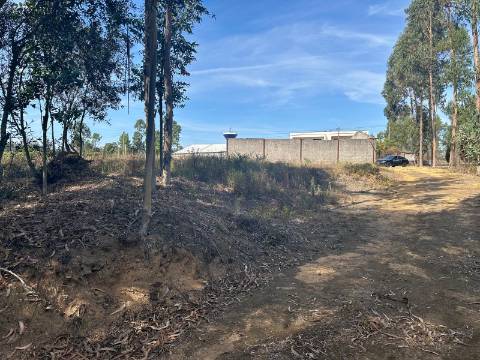 Terreno Plano, Oiã - Oliveira do Bairro