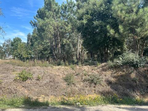 Terreno Plano, Oiã - Oliveira do Bairro