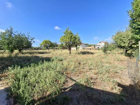 Moradia Isolada Térrea T4 na Mamarrosa