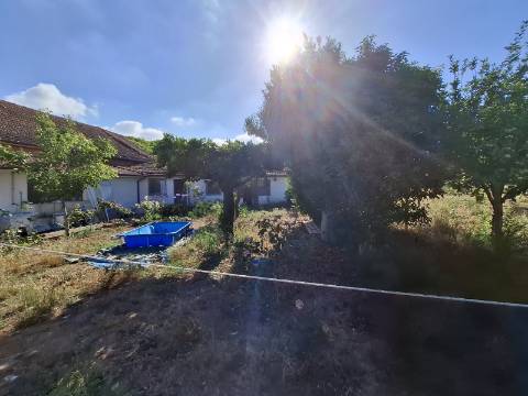 Moradia Isolada Térrea T4 na Mamarrosa