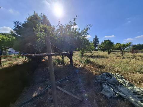 Moradia Isolada Térrea T4 na Mamarrosa