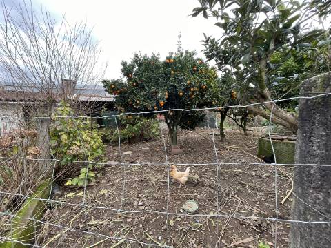 Moradia T3 - Valongo do Vouga