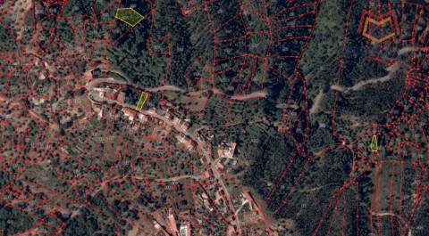 Terrenos Rústicos Aldeia do Mato e Souto - Abrantes