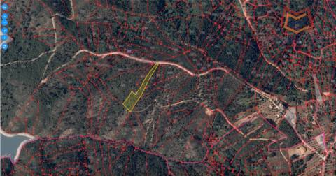 Terrenos Rústicos Aldeia do Mato e Souto - Abrantes